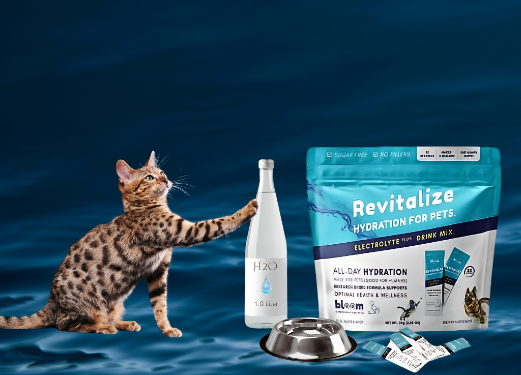 Hydro-Life powder added to water for feline CKD prevention and hydration support