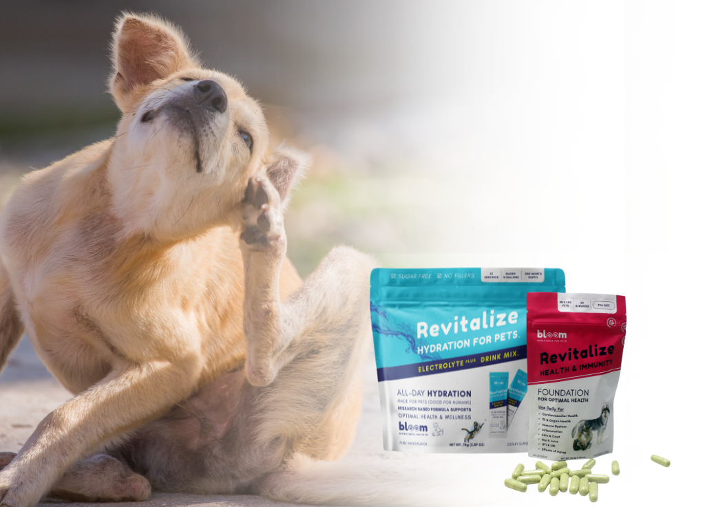 Part I - Ditch the Vet Bills: How Bloom Bioscience Saves Dogs (and Your Wallet) from Skin and Allergy Struggles