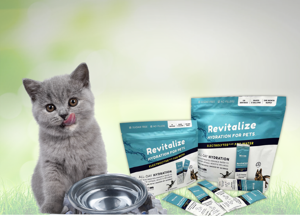 Revitalize Hydration: The Science-Backed Formula for Optimal Health and Longevity