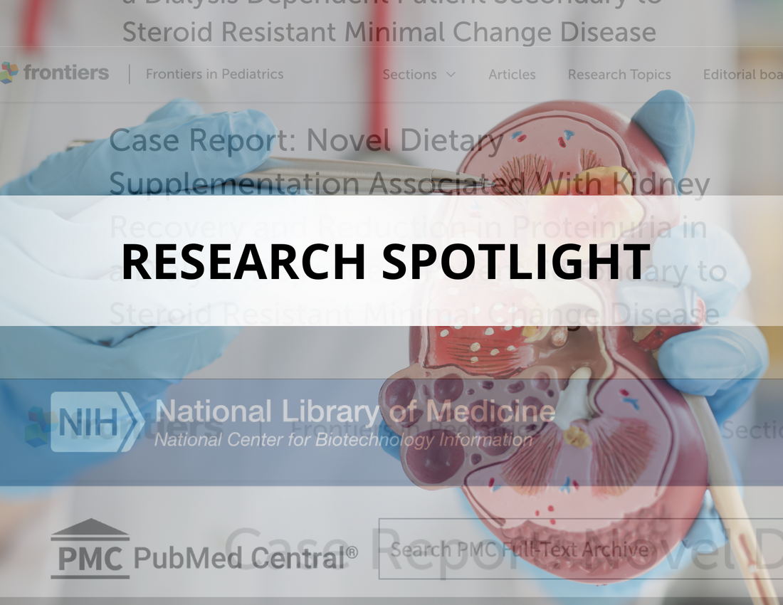 Research Spotlight: Nutritional Support for Kidney Health  