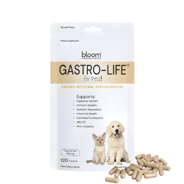Gastro-Life supplement capsules supporting pet GI tract health and nutrient absorption