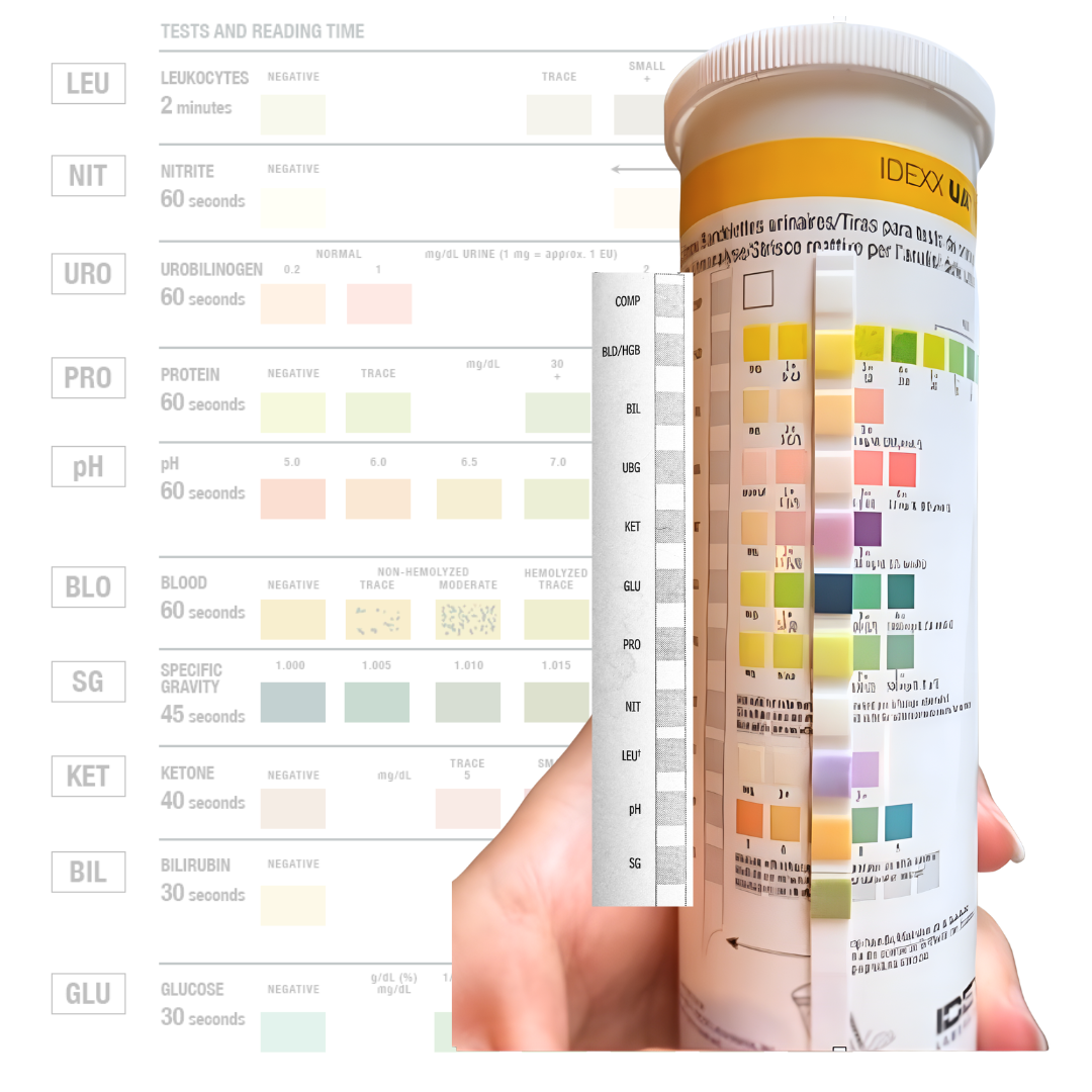 Urine Learn: DIY Dipstick Checks for Pet Owners - Your Pet's Easy At-Home Health Checkup