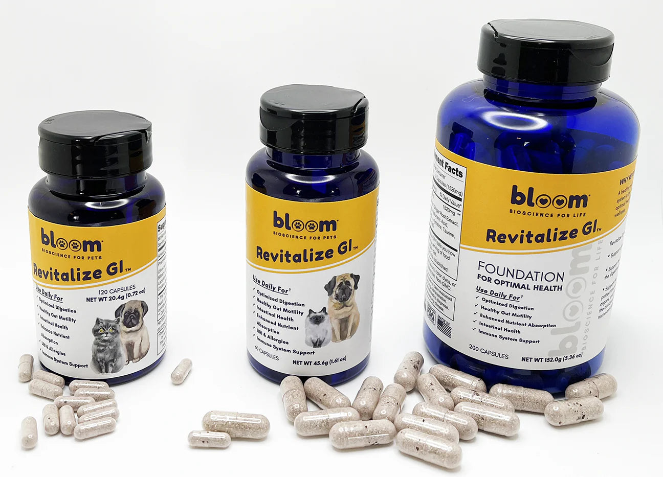 Revitalize GI: Protecting the GI tract and improving nutrient absorption