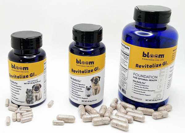 Revitalize GI: Protecting the GI tract and improving nutrient absorption