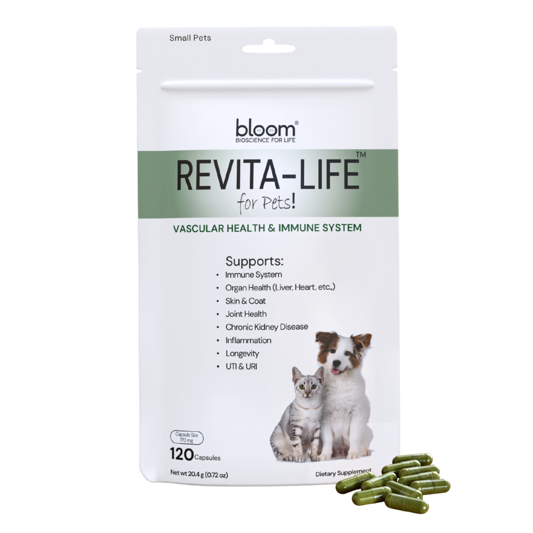 Revita-Life (Revitalize Health & Immunity): A Unique Formulation to Combat Oxidative Stress and Support Pet’s Health