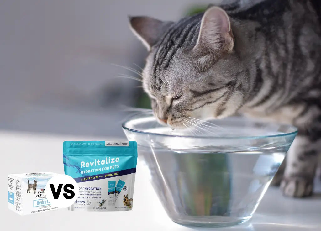 Comparing Bloom's Revitalize Hydration and Purina's Hydra Care: A Science-Backed Solution for Pet Health