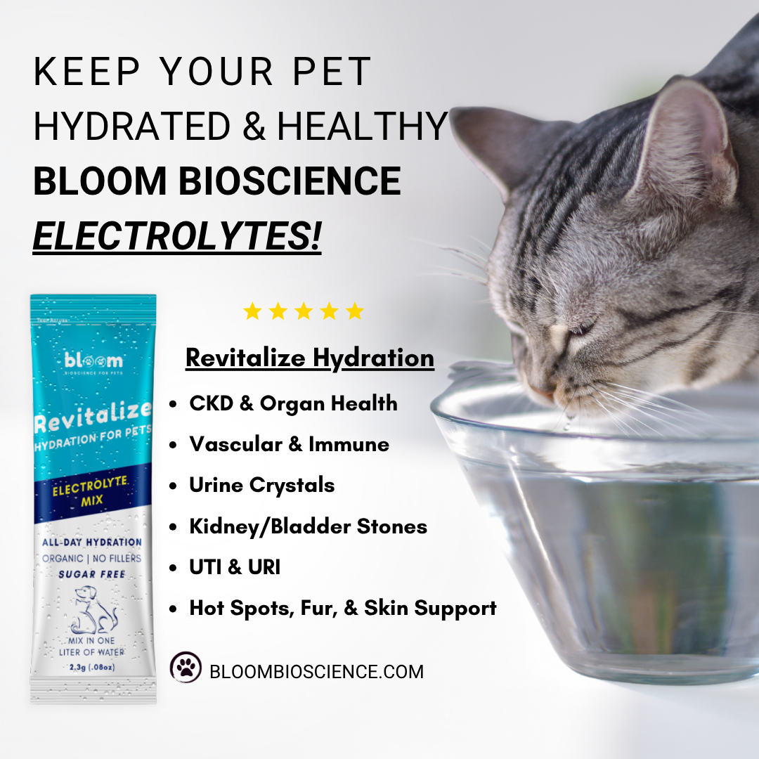 Hydro-Life for Pets! - (Formerly Revitalize Hydration)