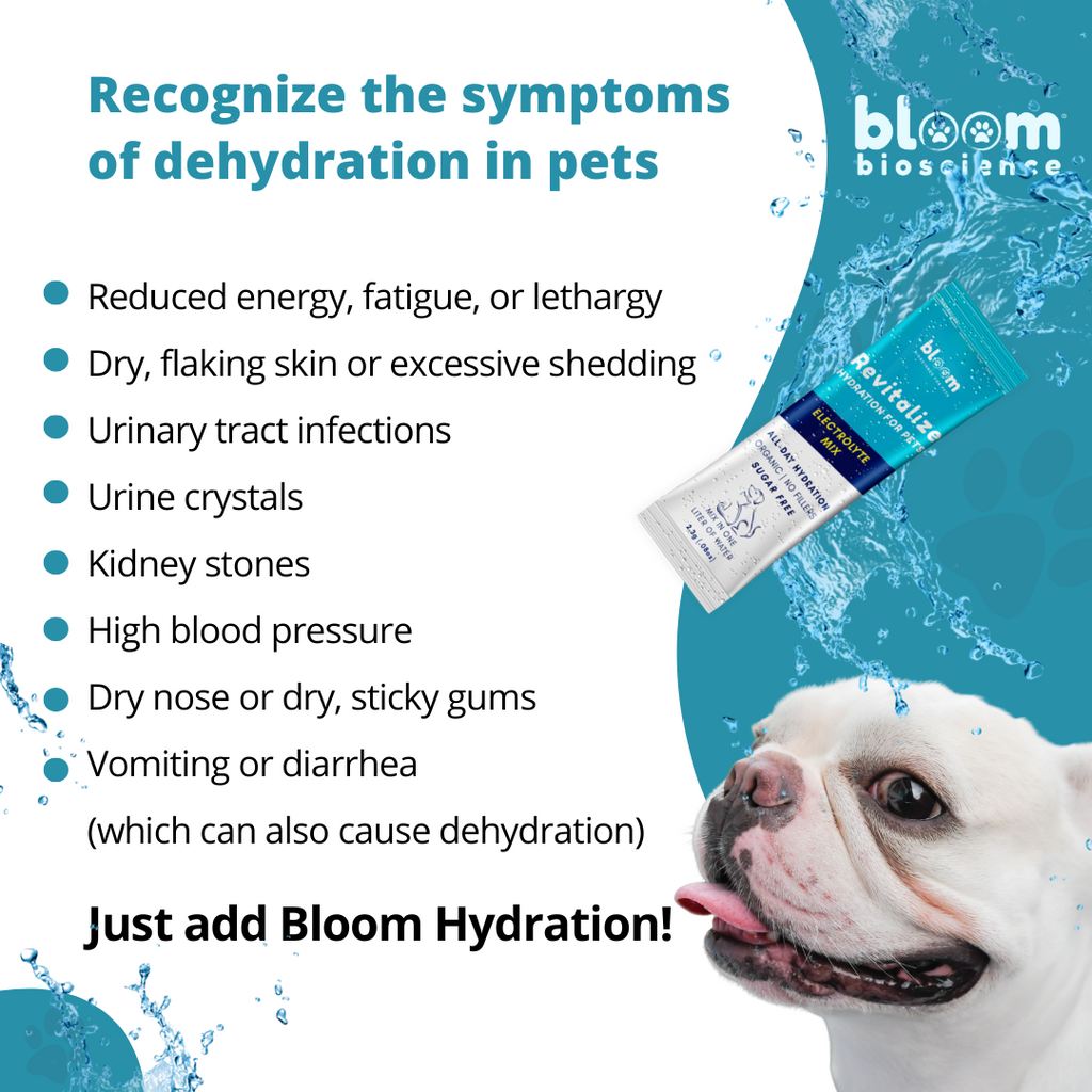 Hydro-Life for Pets! - (Formerly Revitalize Hydration)