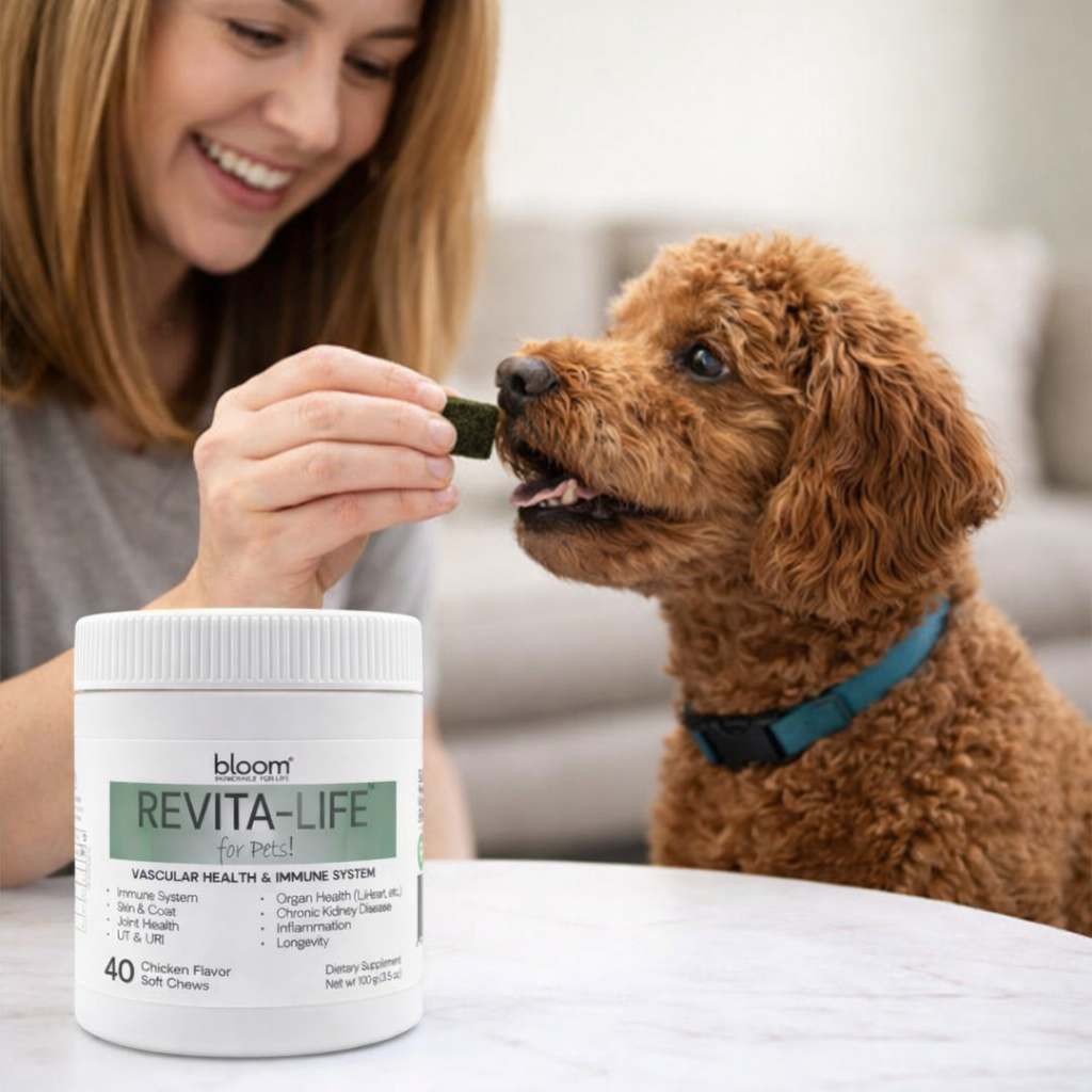 Revita-Life for Pets! - Chew Treats