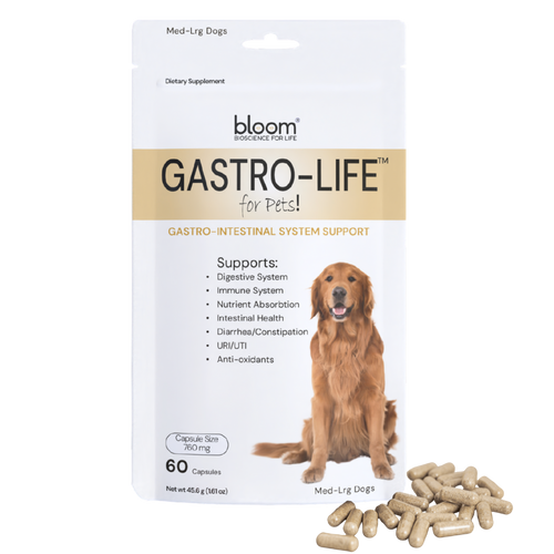 Gastro-Life for Pets! - (Formerly Revitalize GI)