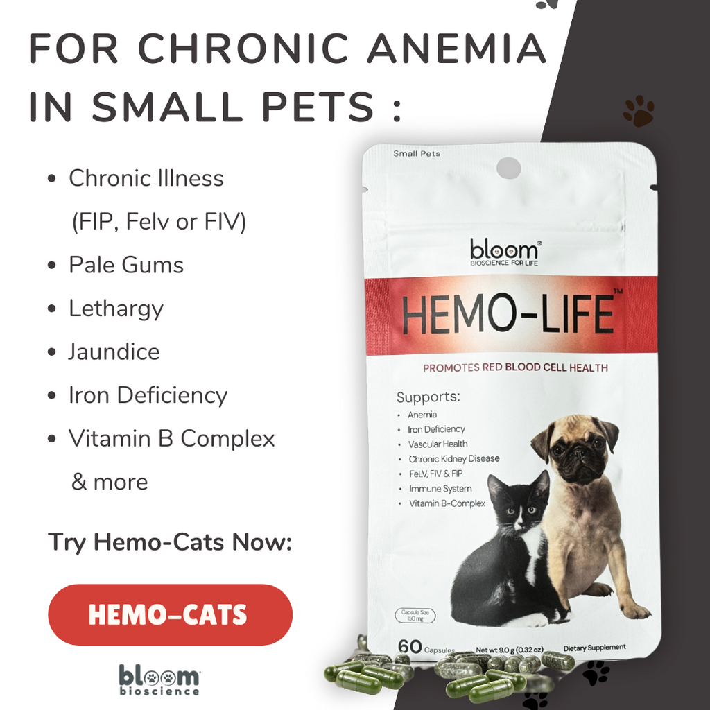 Hemo-Life for Pets! - (formerly Hemo-Cats)