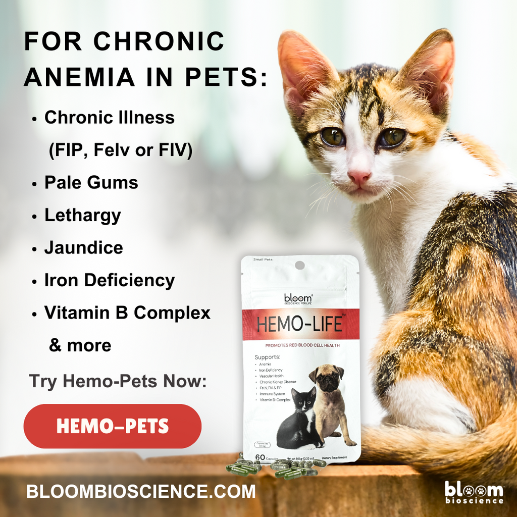 Hemo-Life for Pets! - (formerly Hemo-Cats)