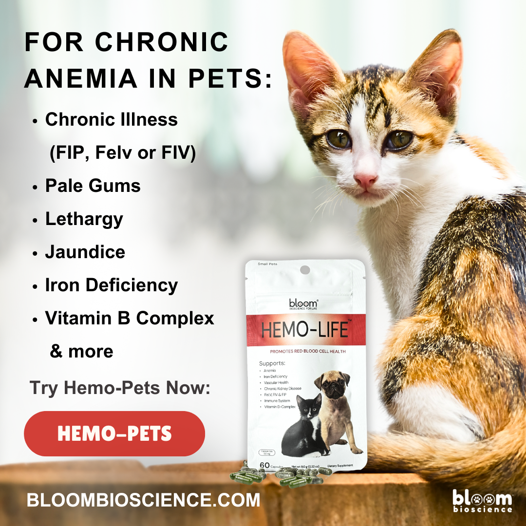 Hemo-Life for Pets! - (formerly Hemo-Cats)