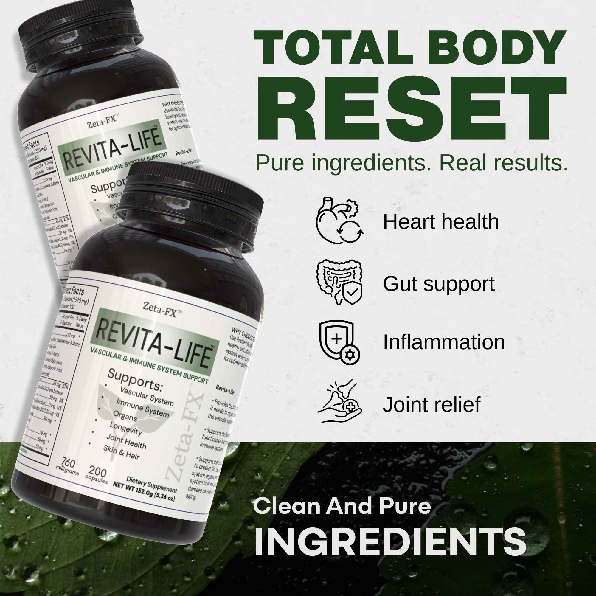 Revita-Life – BLOOM BIO / ZETA-FX